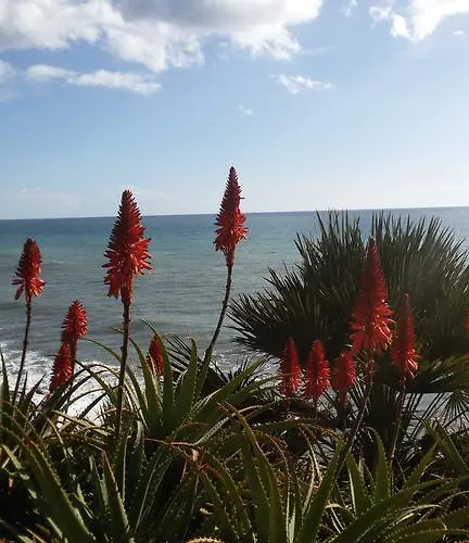 Отель Costa Империя